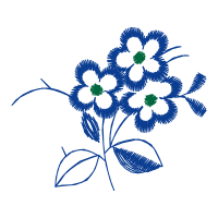 Transvaal Daisy Animals