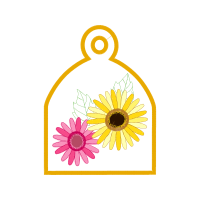 Transvaal Daisy Animals Transvaal Daisy Animals