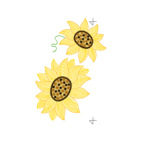 Transvaal Daisy Animals Transvaal Daisy Animals