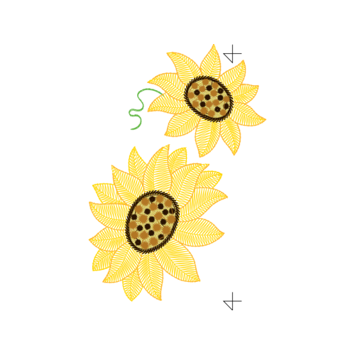 Transvaal Daisy Animals Transvaal Daisy Animals