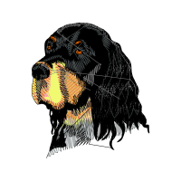 Transylvanian Hound Animals Transylvanian Hound Animals