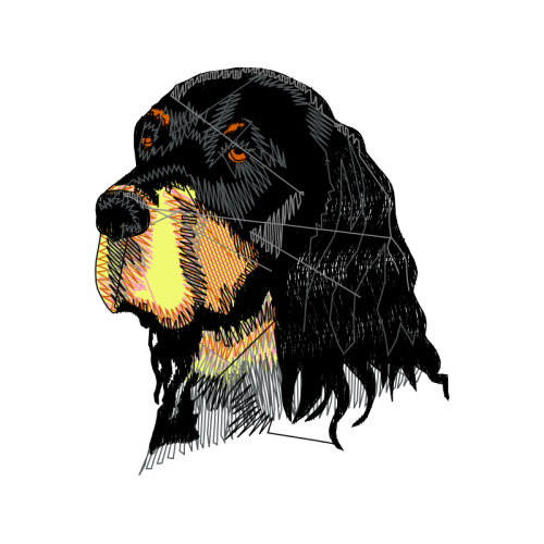 Transylvanian Hound Animals Transylvanian Hound Animals