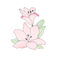 Tulip Animals Tulip Animals