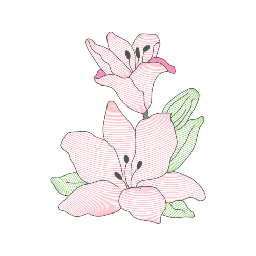 Tulip Animals Tulip Animals