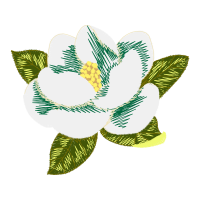 Tulipa Humilis Animals Tulipa Humilis Animals