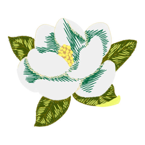 Tulipa Humilis Animals Tulipa Humilis Animals