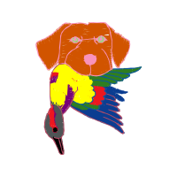 Visual Arts Animals Visual Arts Animals