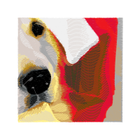 Visual Arts Animals Visual Arts Animals