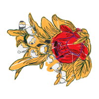 Visual Arts Animals Visual Arts Animals