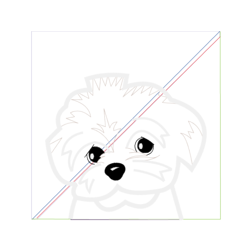 Visual Arts Animals Visual Arts Animals