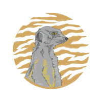 Vizsla Animals Vizsla Animals