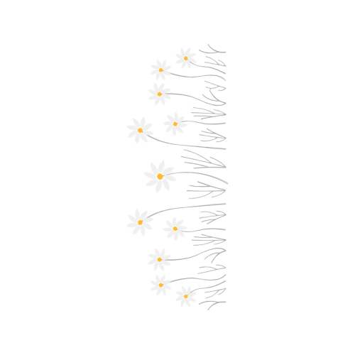 Wallpaper Animals Wallpaper Animals