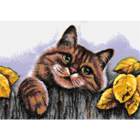 Week Animals Week Animals