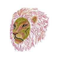 Welsh Sheepdog Animals Welsh Sheepdog Animals