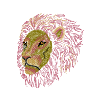 Welsh Sheepdog Animals Welsh Sheepdog Animals