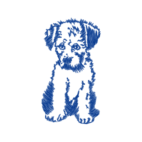 Welsh Terrier Animals Welsh Terrier Animals