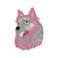 West Highland White Terrier Animals West Highland White Terrier Animals