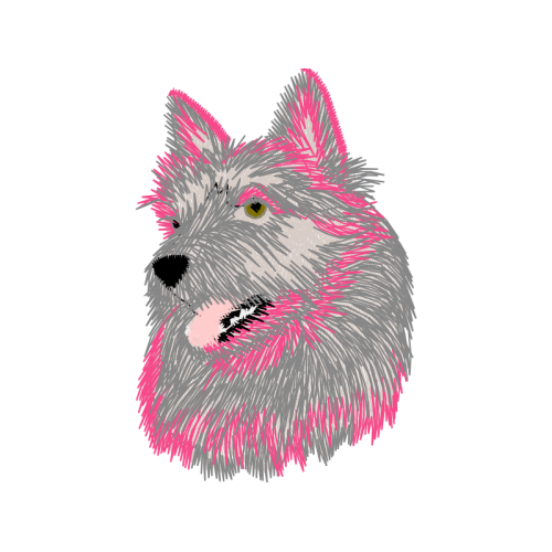 West Highland White Terrier Animals West Highland White Terrier Animals