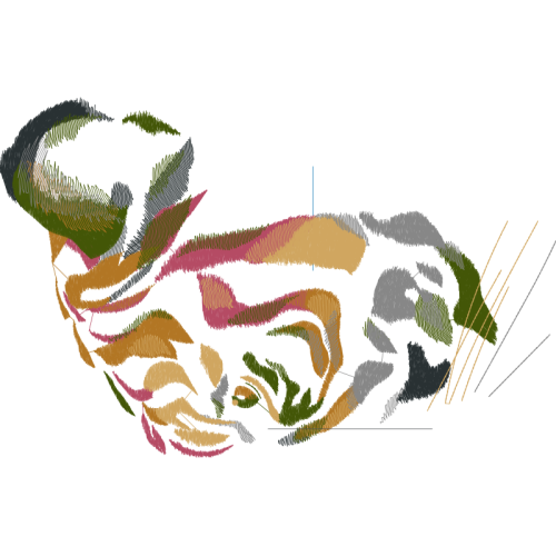 Whippet Animals Whippet Animals