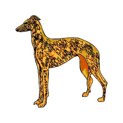 Whippet Animals Whippet Animals