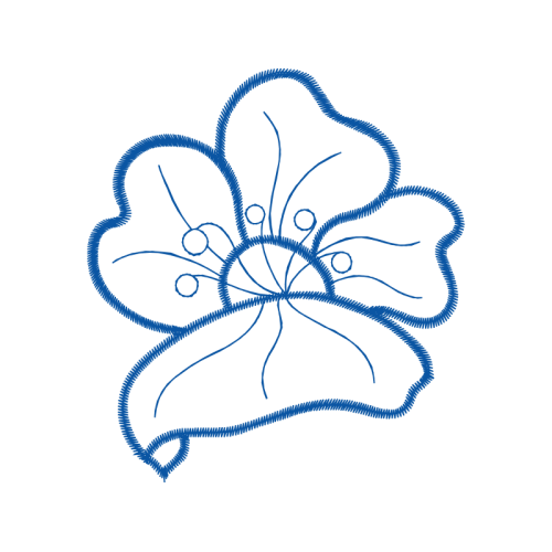 Wikimedia Commons Animals Wikimedia Commons Animals