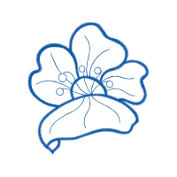 Wikimedia Commons Animals Wikimedia Commons Animals