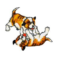 Wire Fox Terrier Animals Wire Fox Terrier Animals