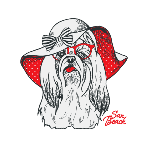 Yorkshire Terrier Animals Yorkshire Terrier Animals