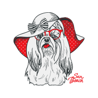 Yorkshire Terrier Animals Yorkshire Terrier Animals