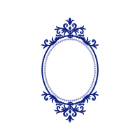 Yorkshire Terrier Animals Yorkshire Terrier Animals