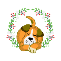 Yorkshire Terrier Animals Yorkshire Terrier Animals