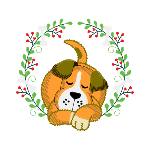 Yorkshire Terrier Animals Yorkshire Terrier Animals