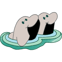 African Elephants Animals African Elephants Animals