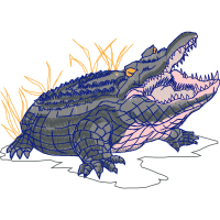 American Alligator Animals