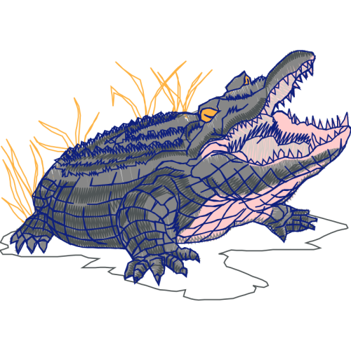 American Alligator Animals American Alligator Animals