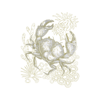 Anita Goo Animals Anita Goo Animals