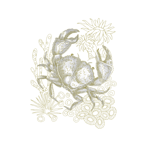 Anita Goo Animals Anita Goo Animals