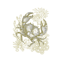 Anita Goo Animals Anita Goo Animals