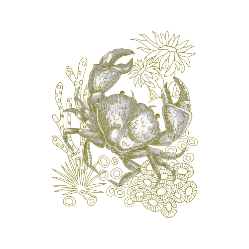 Anita Goo Animals Anita Goo Animals