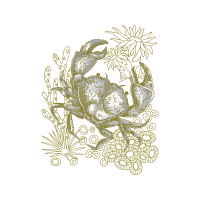 Anita Goo Animals Anita Goo Animals