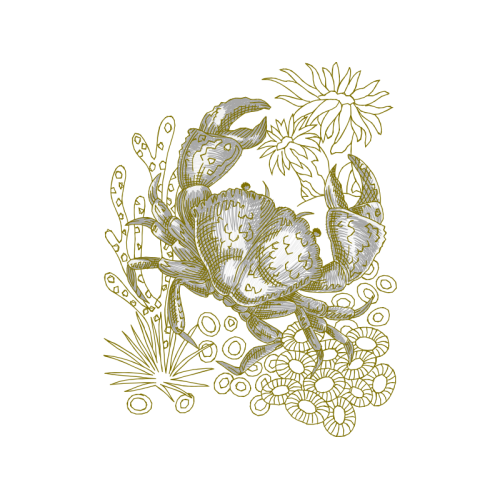 Anita Goo Animals Anita Goo Animals