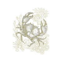 Anita Goo Animals Anita Goo Animals