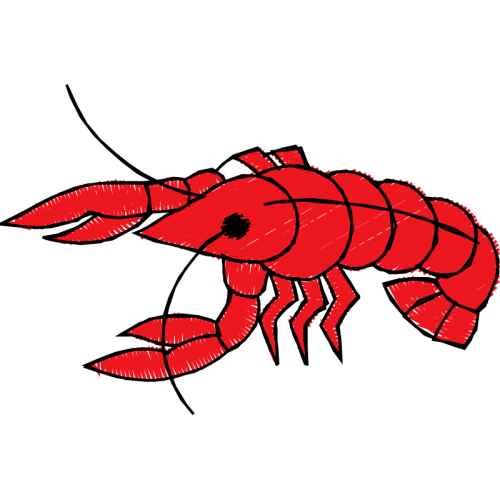 Antarctic Krill Animals Antarctic Krill Animals