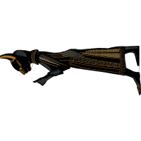 Anteaters Animals Anteaters Animals