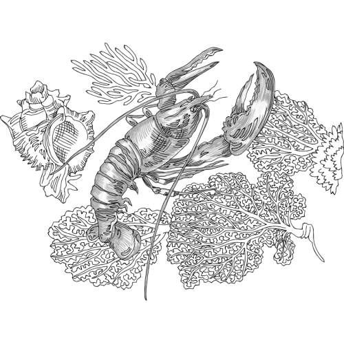 Art Animals Art Animals