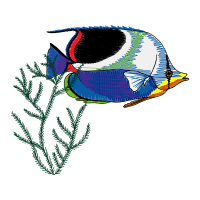 Art Animals Art Animals