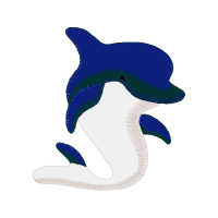 Art Animals Art Animals