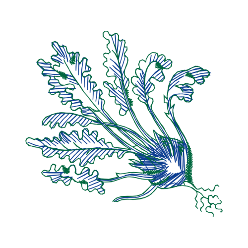 Art Animals Art Animals