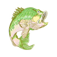 Art Animals Art Animals