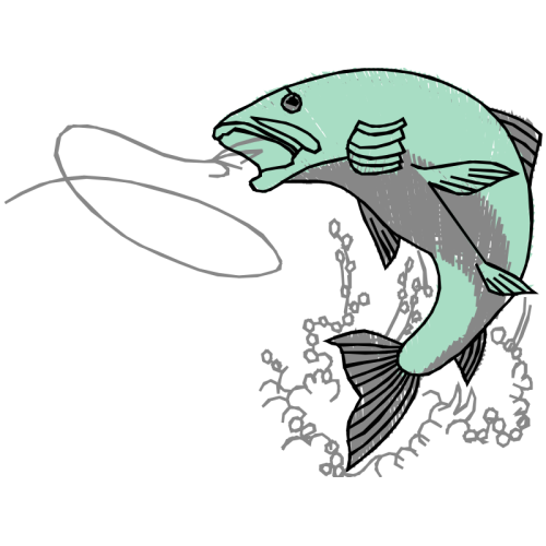 Art Animals Art Animals